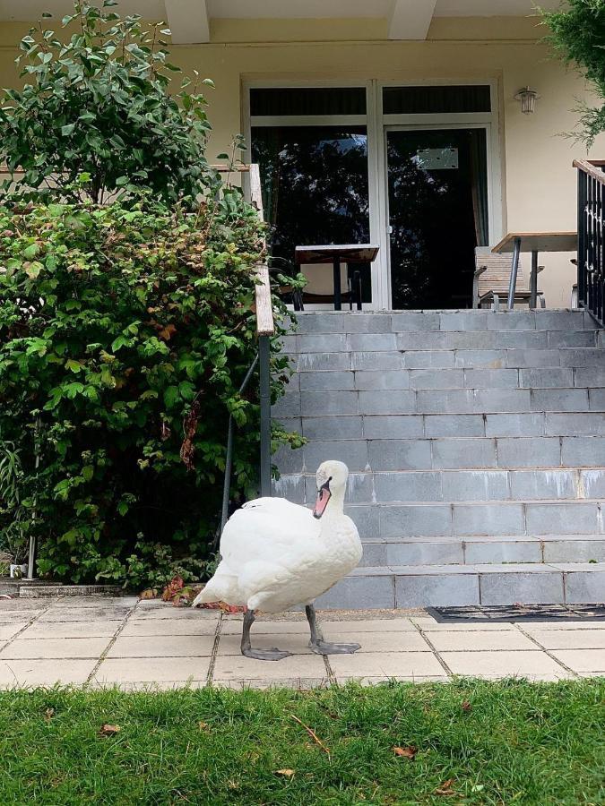 Hotel Europa Gizycko Bagian luar foto
